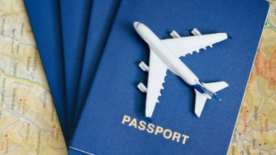 Türkiye Pasaportu ile Vizesiz Gidilen Ülkeler