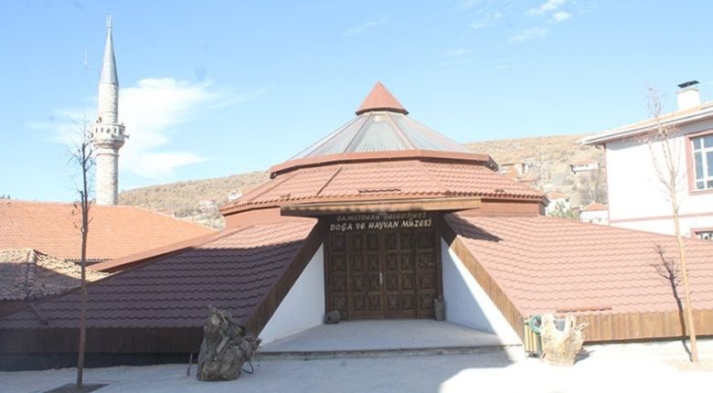 Doğa ve Hayvan Müzesi Kaynak: www.camlidere.bel.tr